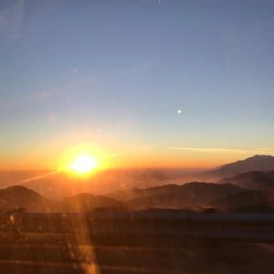 Meet your Posher, Sophia